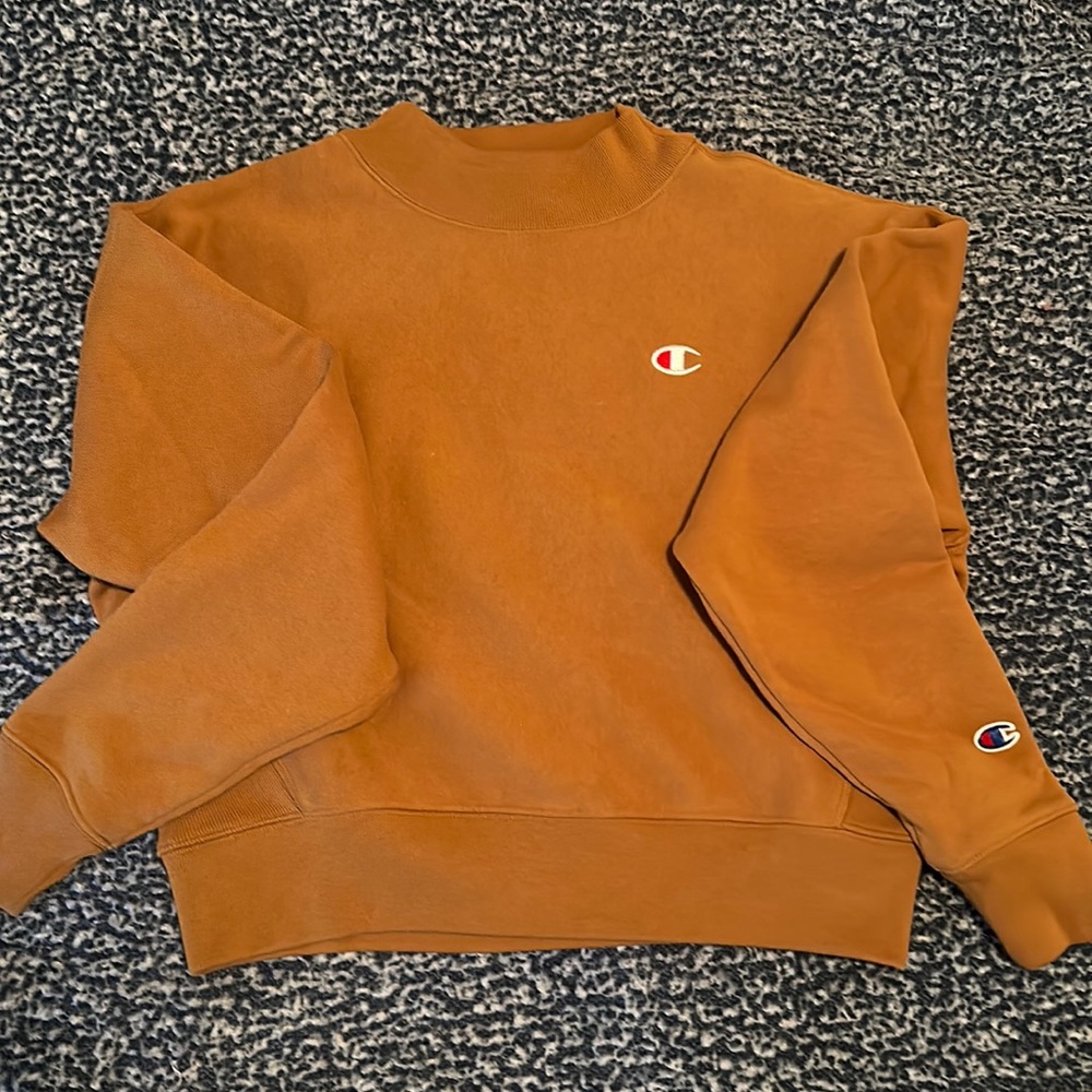 Champion Sweatshirt- cropped